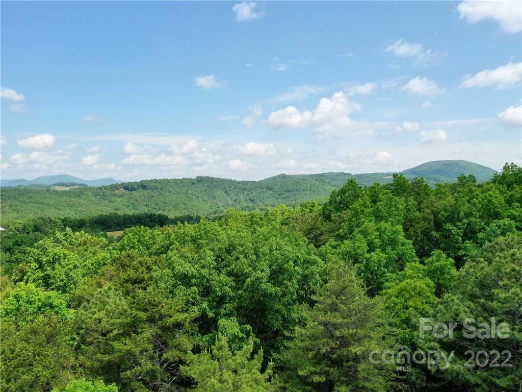 Lot at Mill Spring, photo 7 of 12