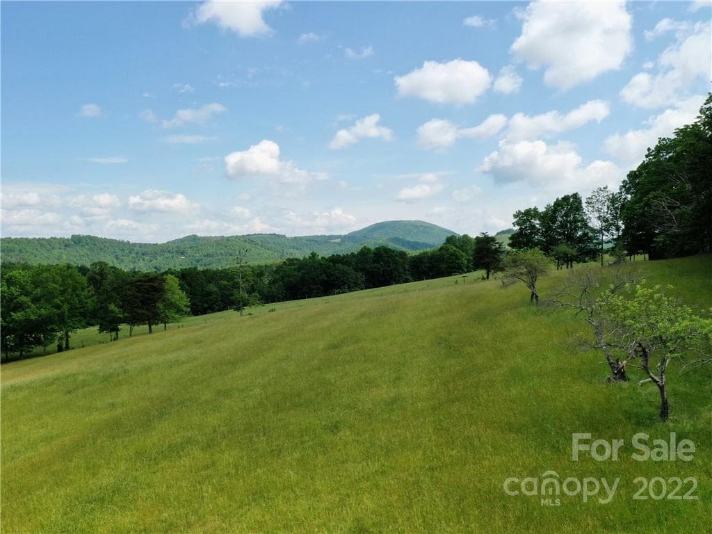 Lot at Mill Spring, photo 8 of 12