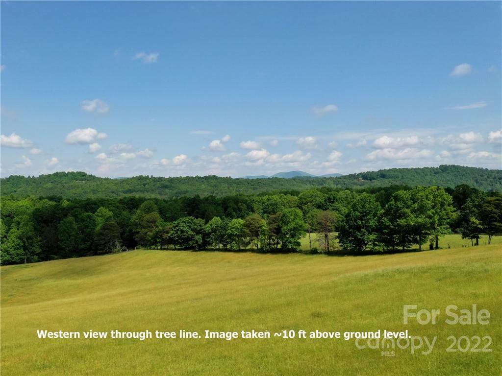 Lot at Mill Spring, photo 9 of 12