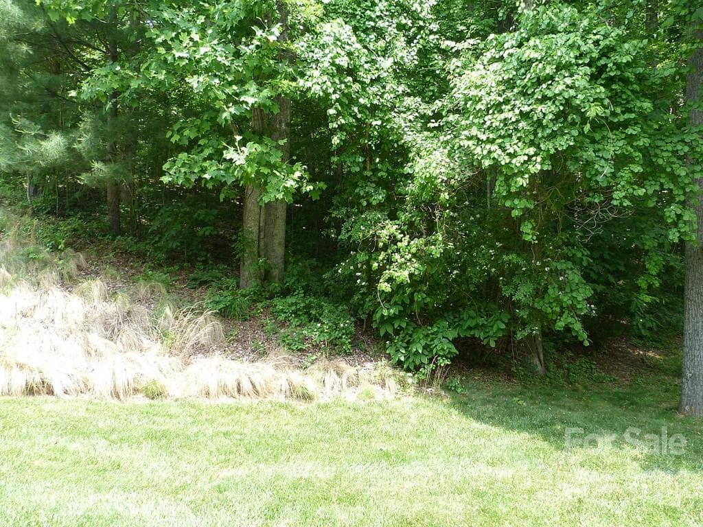 Lot at Hendersonville, photo 10 of 12