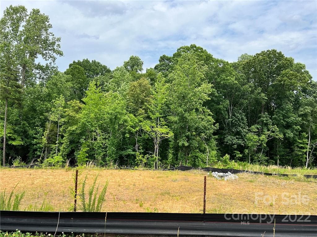 Lot at Huntersville, photo 2 of 3