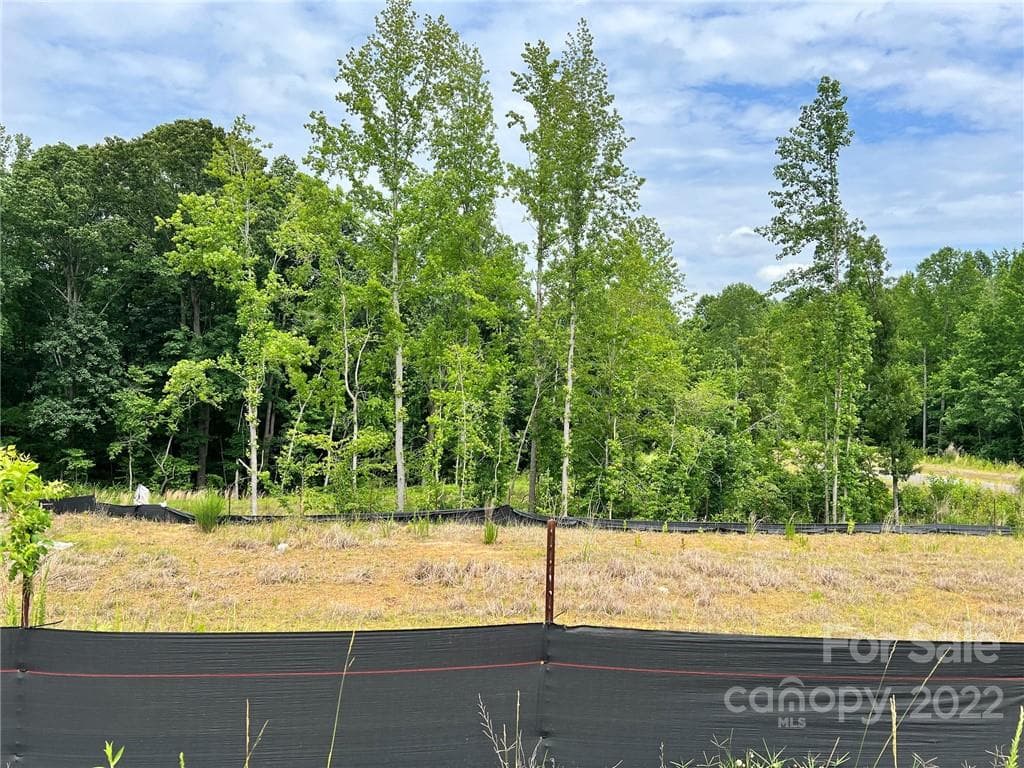 Lot at Huntersville, photo 2 of 3