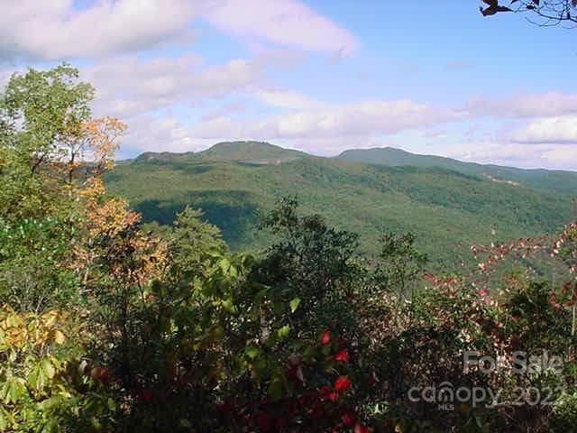 WOW! - Lake Lure