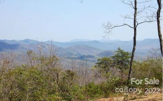 Winter views are fabulous too! Enjoy long range layered mountain views including snow-capped Mt. Mitchell! - Lake Lure