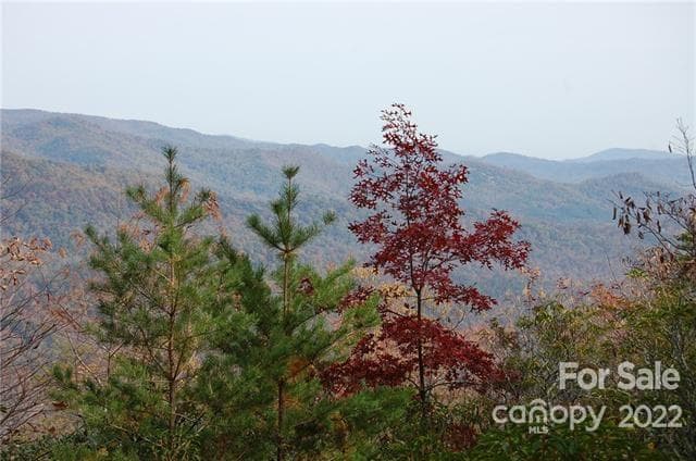 Fall photo - Lake Lure