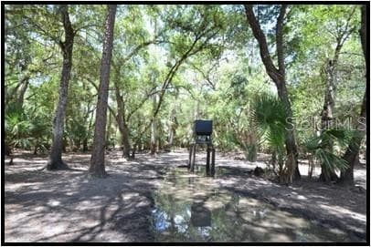 Hunting Stand - 7019 CROOKED CREEK LN, ZOLFO SPRINGS