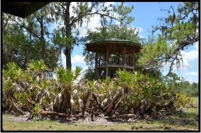 Hunting Stand - 7019 CROOKED CREEK LN, ZOLFO SPRINGS