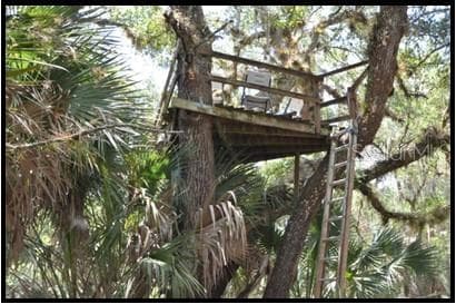 Hunting Stand - 7019 CROOKED CREEK LN, ZOLFO SPRINGS