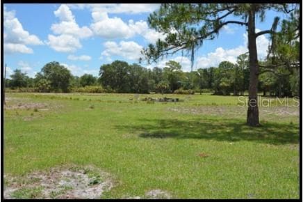 Land at 7019 CROOKED CREEK LN, ZOLFO SPRINGS, photo 38 of 52