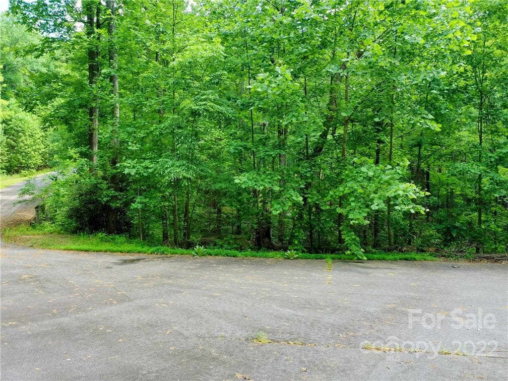 Lot at Mill Spring, photo 3 of 17