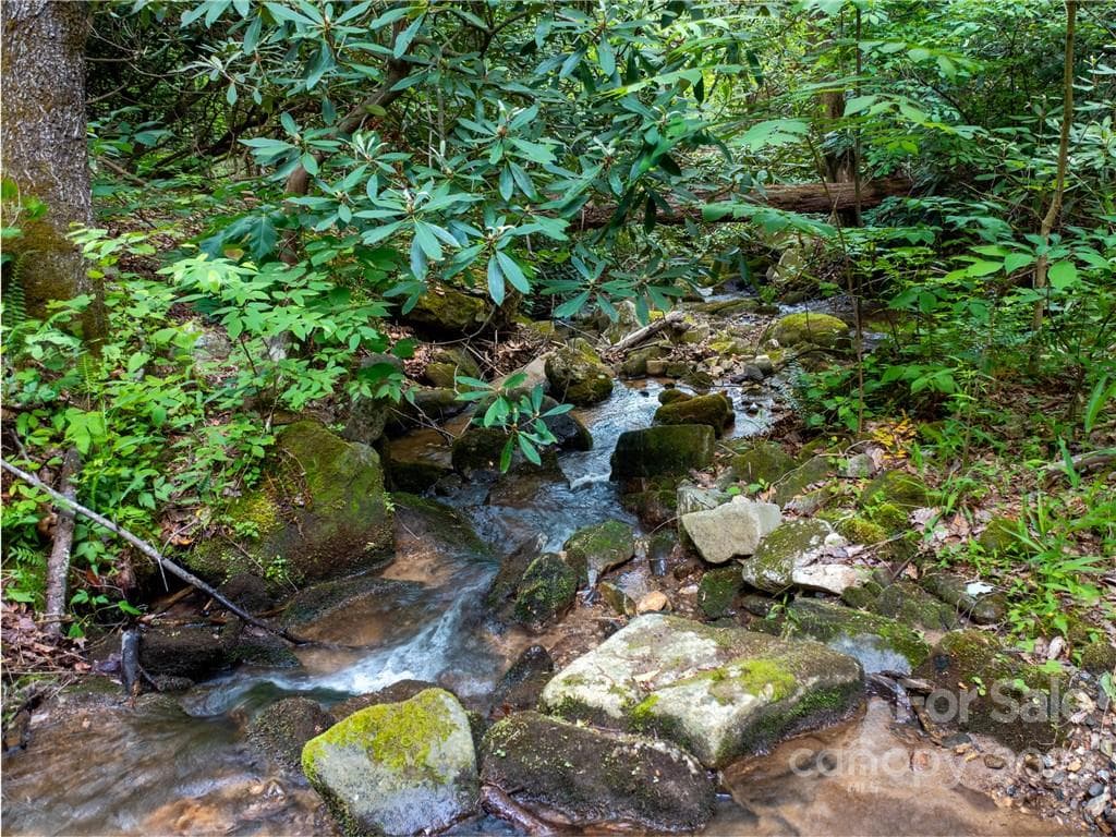 Lot at Mill Spring, photo 2 of 17