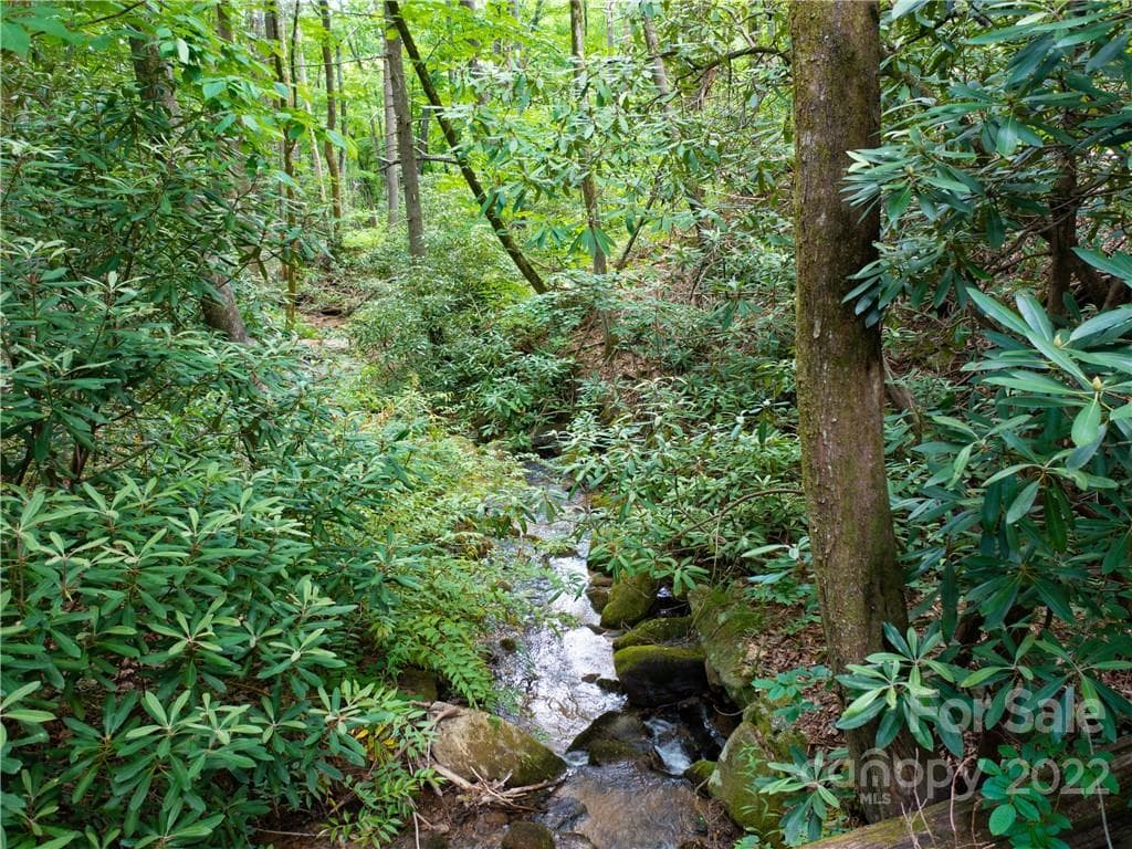 Lot at Mill Spring, photo 4 of 17