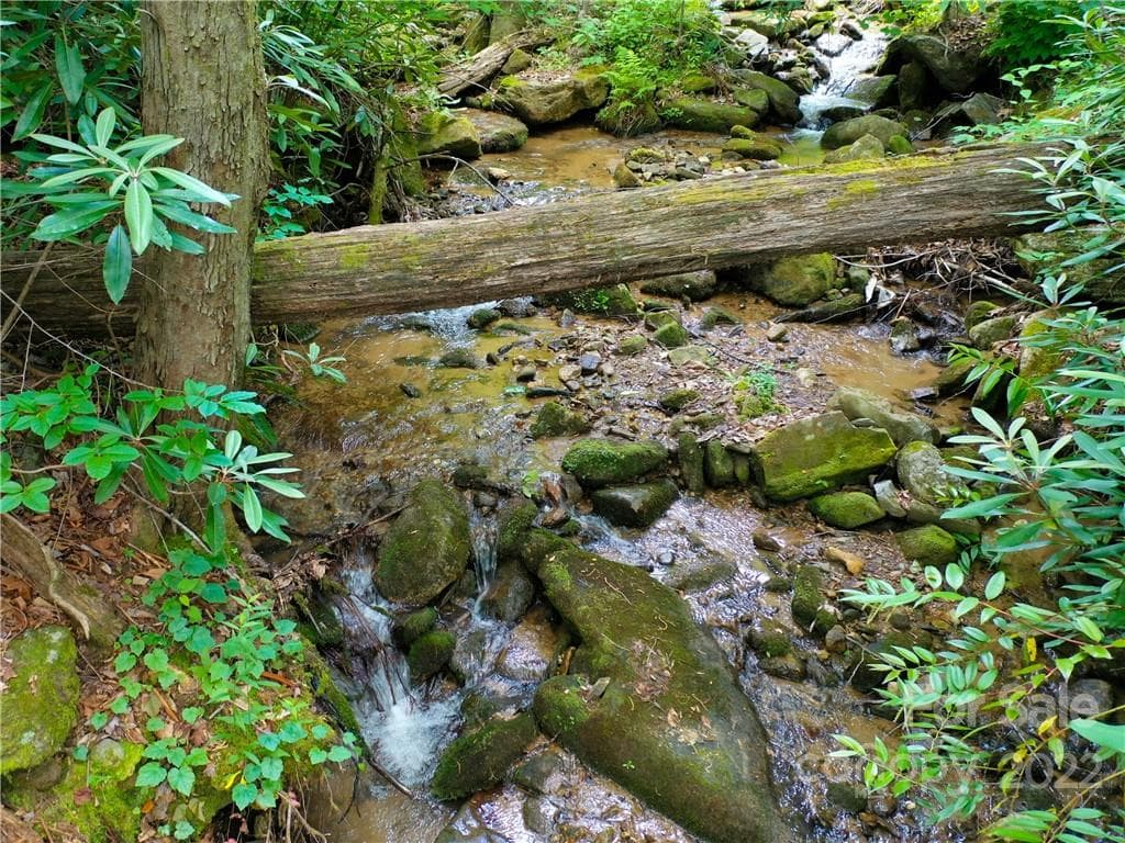 Lot at Mill Spring, photo 7 of 17