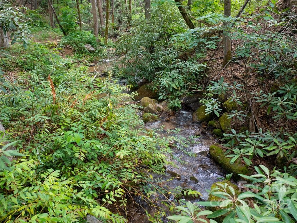 Lot at Mill Spring, photo 8 of 17