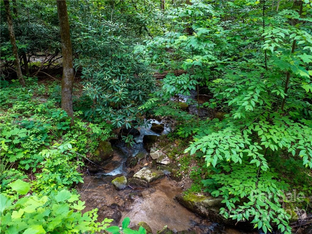 Lot at Mill Spring, photo 11 of 17