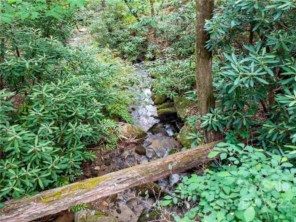 Lot at Mill Spring, photo 12 of 17