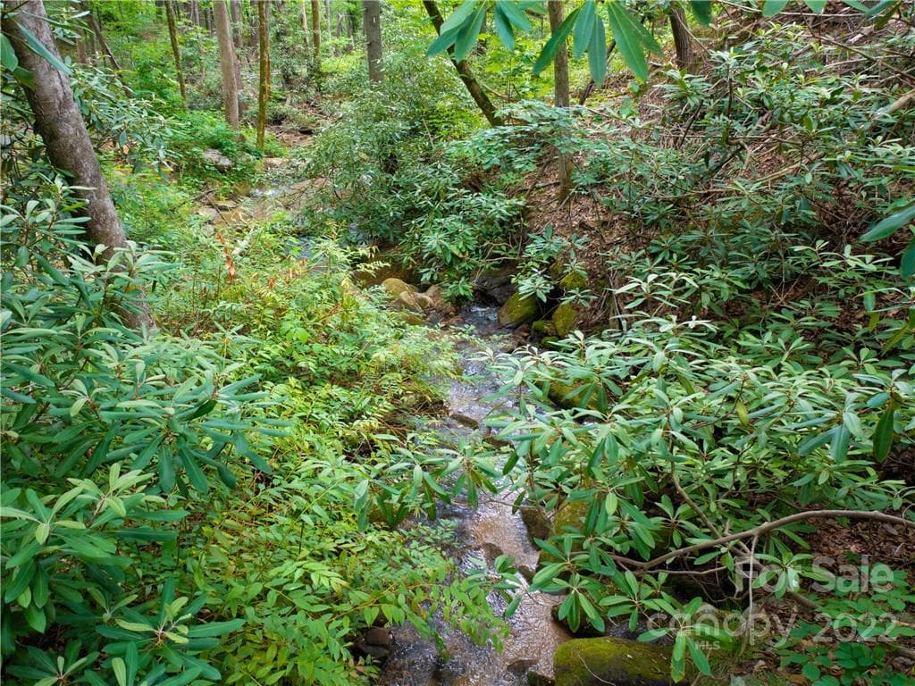 Lot at Mill Spring, photo 13 of 17