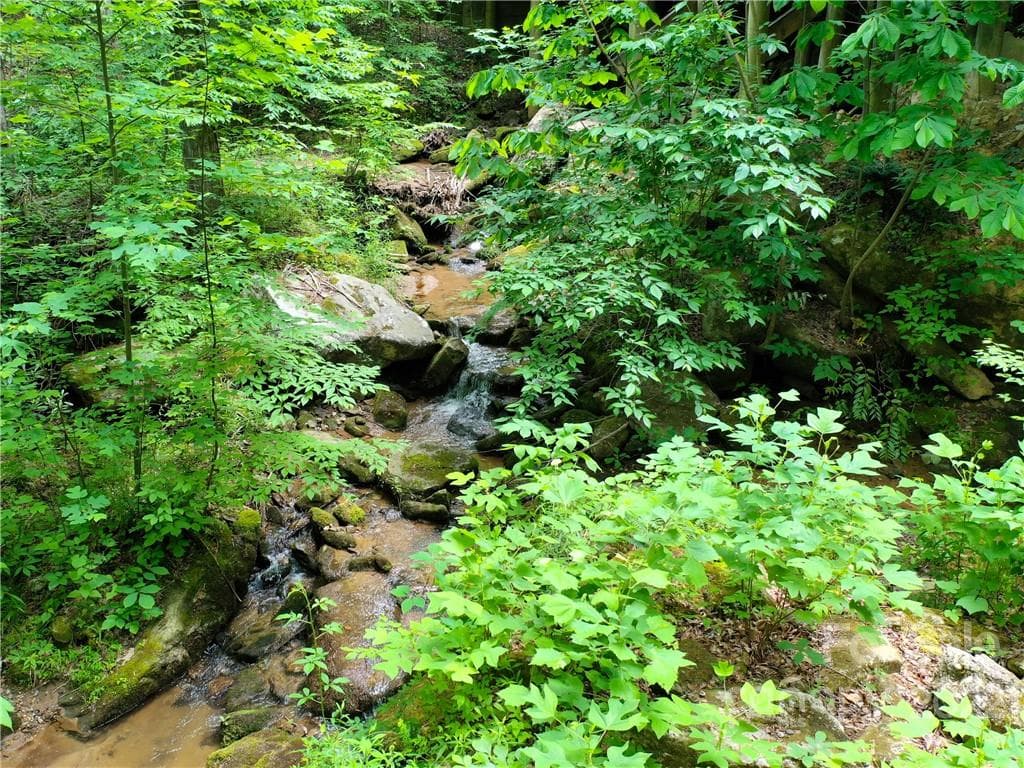 Lot at Mill Spring, photo 14 of 17