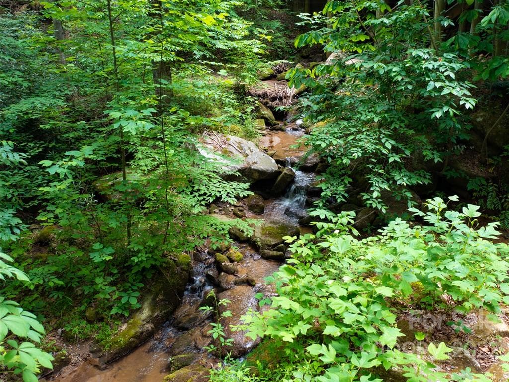 Lot at Mill Spring, photo 15 of 17