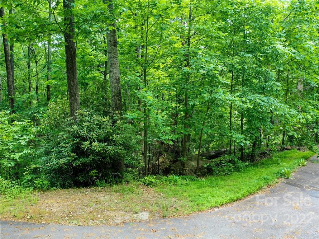 Lot at Mill Spring, photo 17 of 17