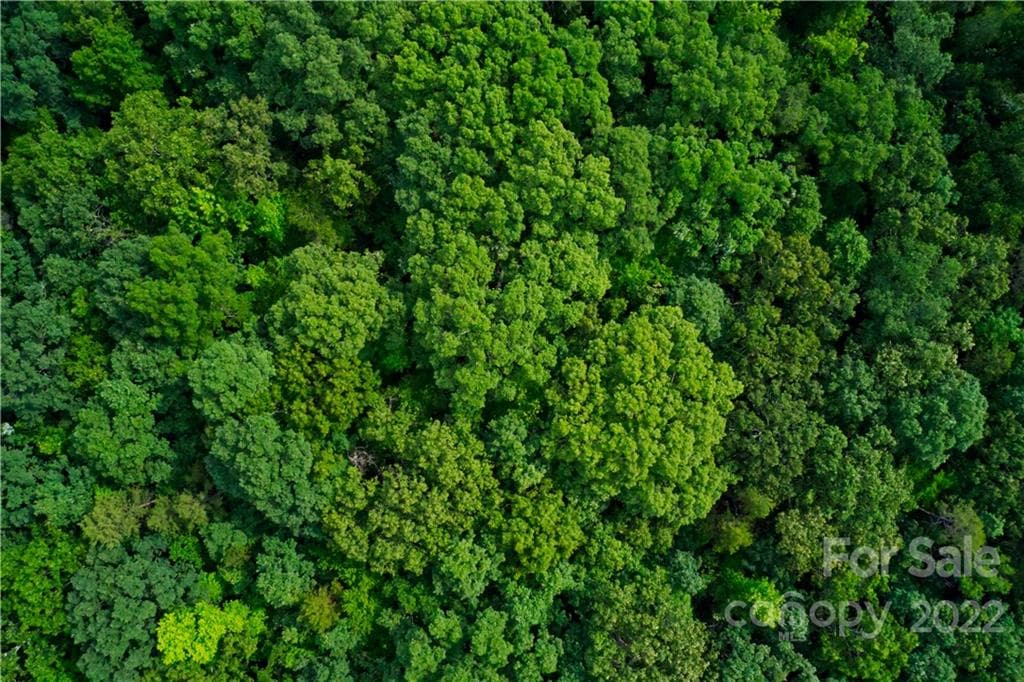 Wooded, Secluded, Flat - 650 Union Road, Matthews