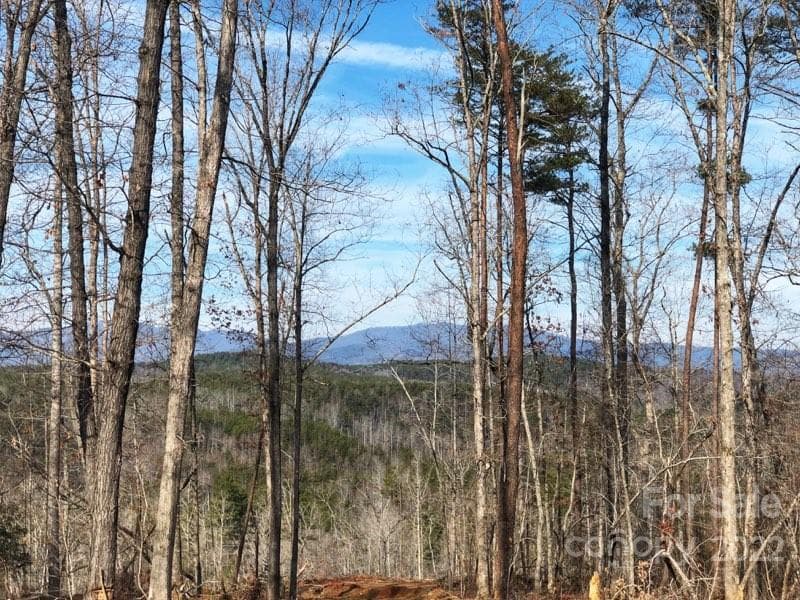 Acreage at Rutherfordton, photo 3 of 21