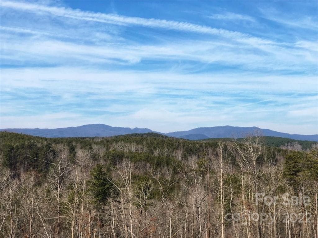 Acreage at Rutherfordton, photo 5 of 21