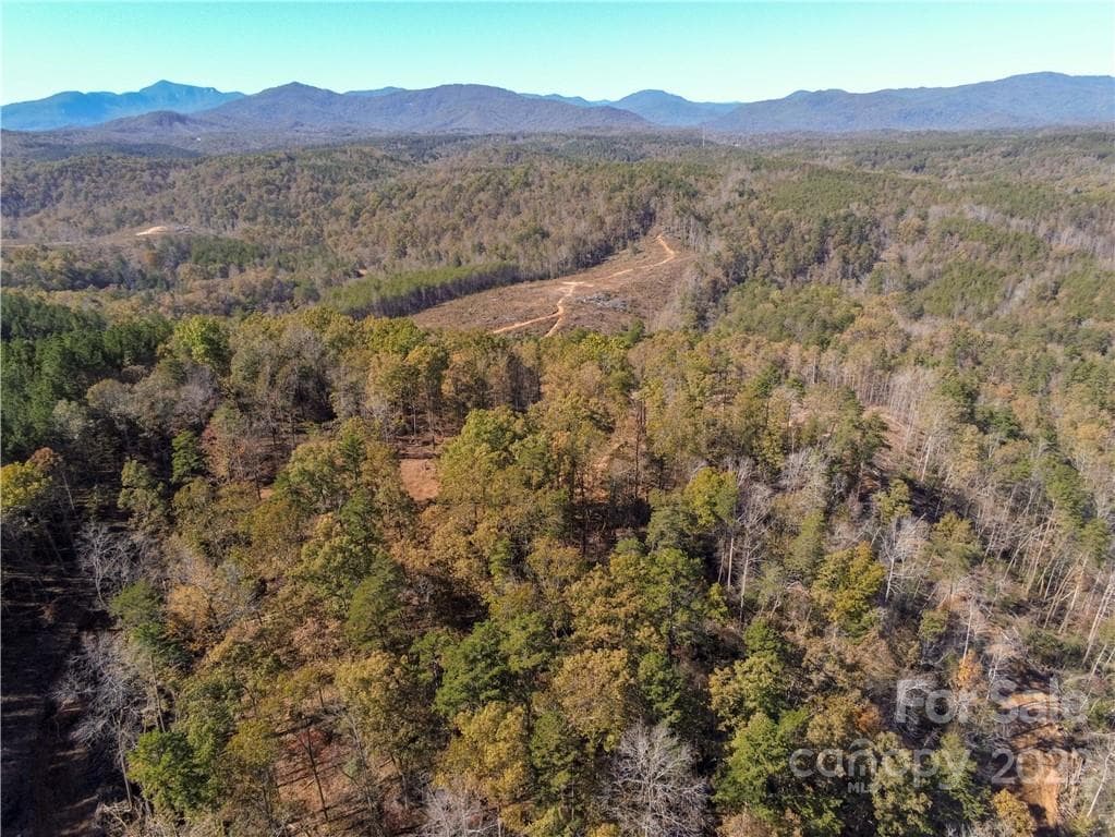 Acreage at Rutherfordton, photo 9 of 21
