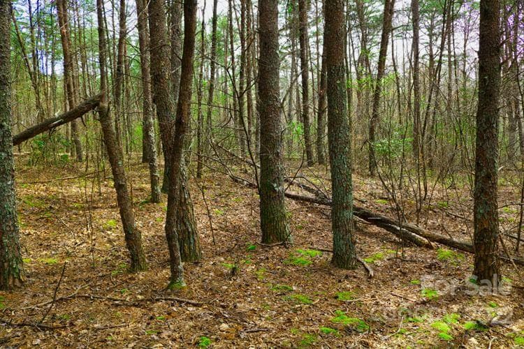 Lot at 0 Westridge Drive, Lake Lure, photo 2 of 4