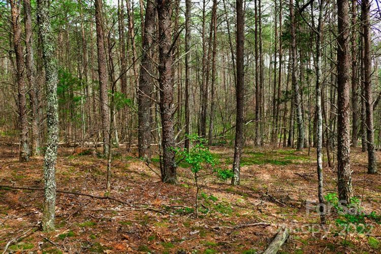 Lot at 0 Westridge Drive, Lake Lure, photo 3 of 4