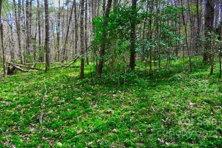 Lot at 0 Westridge Drive, Lake Lure, photo 4 of 4