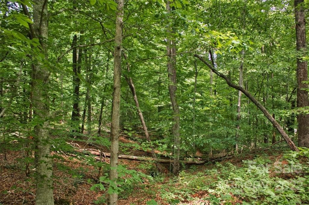 Lot at 0 Midnight Pass, Rutherfordton, photo 2 of 5