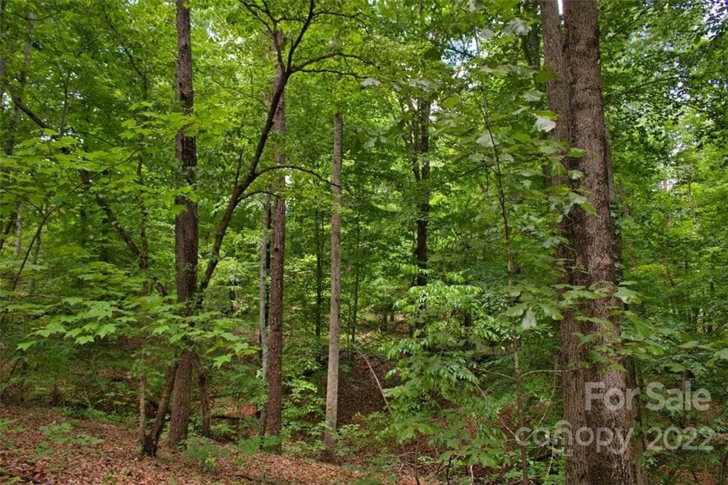 Lot at 0 Midnight Pass, Rutherfordton, photo 3 of 5