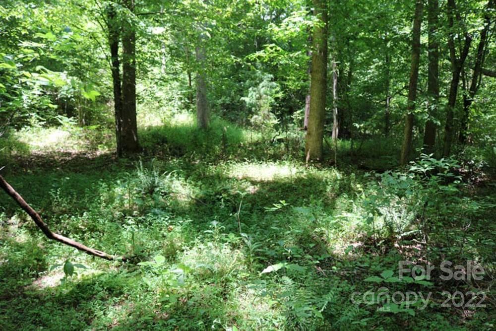Lot at 0 Woodstock Lane, Rutherfordton, photo 3 of 3