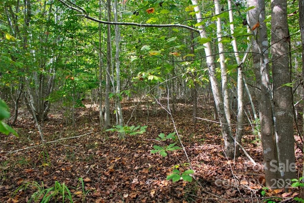 Lot at 0 Chimney Creek Lane, Rutherfordton, photo 2 of 4