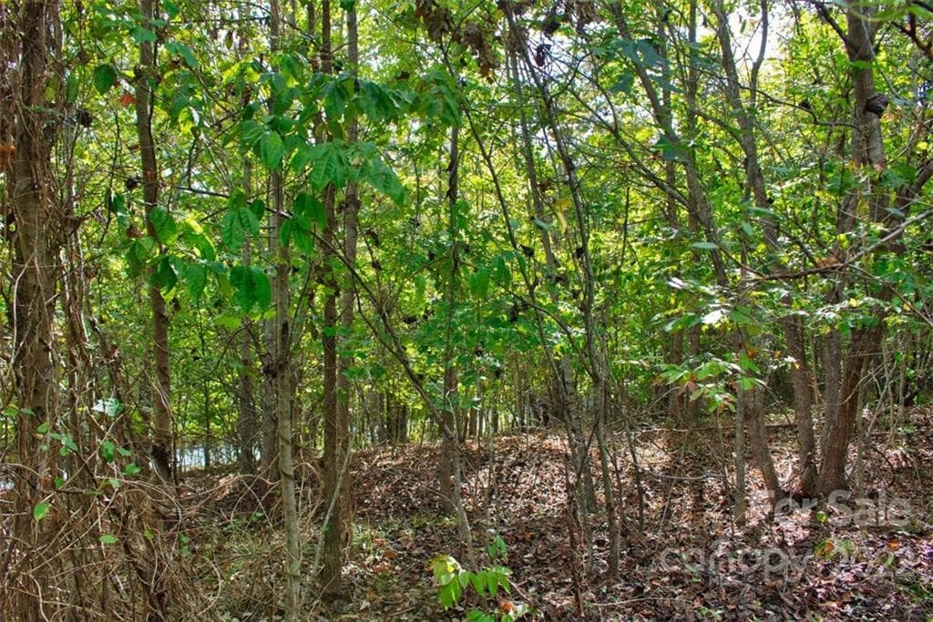 Lot at 0 Chimney Creek Lane, Rutherfordton, photo 3 of 4
