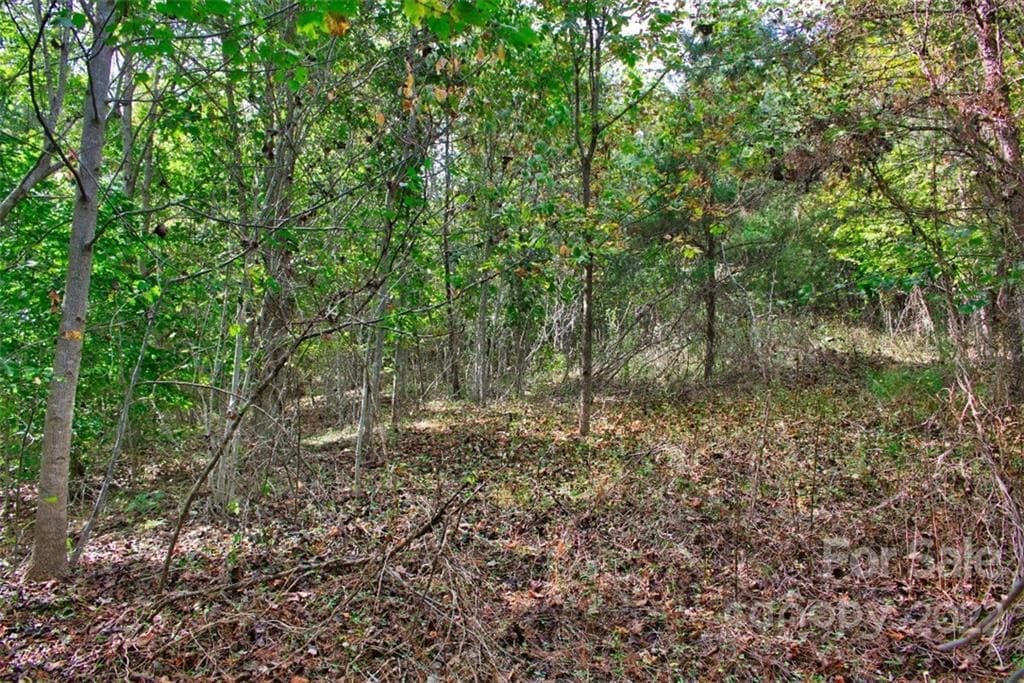 Lot at 0 Chimney Creek Lane, Rutherfordton, photo 4 of 4