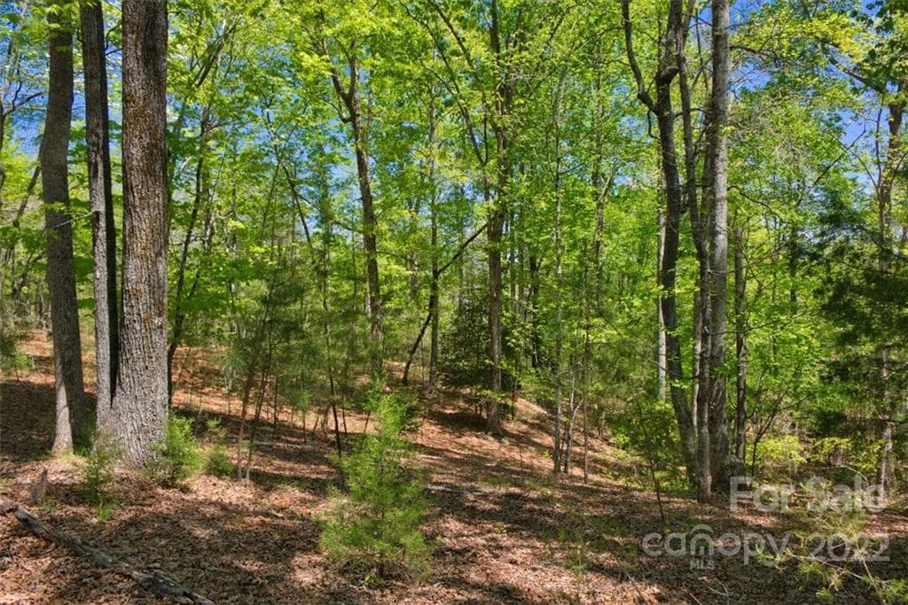 Lot at 0 Hearthstone Drive, Union Mills, photo 2 of 6