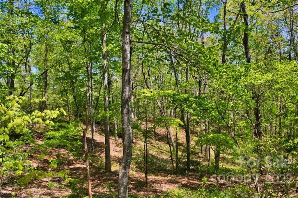 Lot at 0 Hearthstone Drive, Union Mills, photo 3 of 6