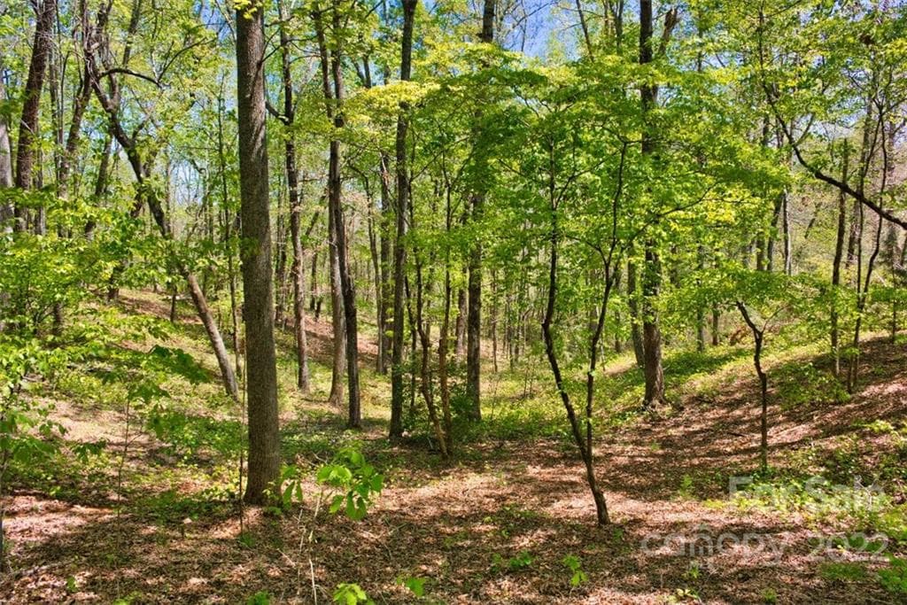 Lot at 0 Hearthstone Drive, Union Mills, photo 4 of 6
