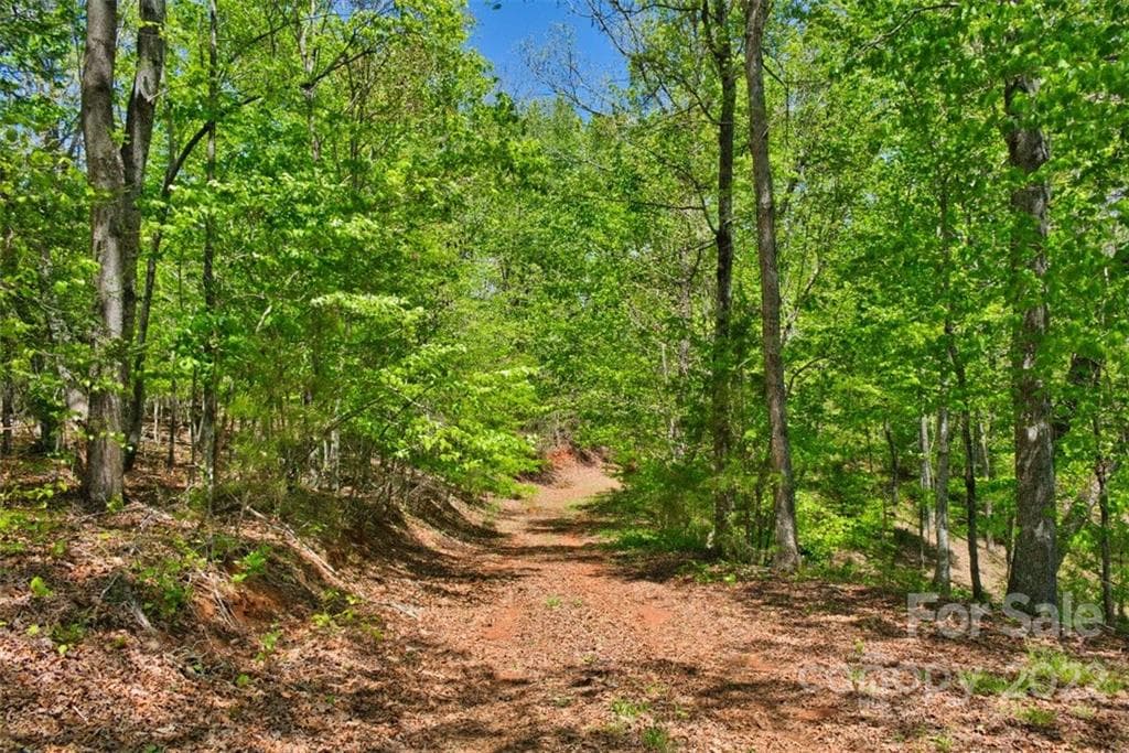 Lot at 0 Hearthstone Drive, Union Mills, photo 5 of 6