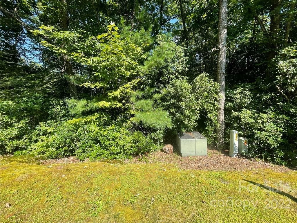 Lot at 99999 Pine Mountain Trail, Brevard, photo 5 of 17