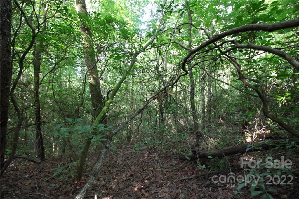 Lot at Lot 19 Gastons Bee Gum Road, Brevard, photo 2 of 19