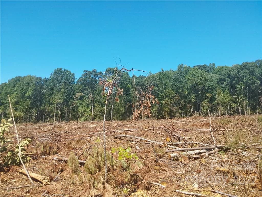Acreage at 00 Requa Road, Cherryville, photo 4 of 10
