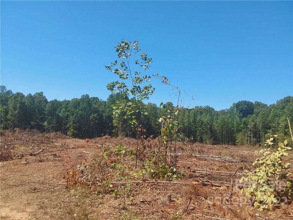 Acreage at 00 Requa Road, Cherryville, photo 5 of 10