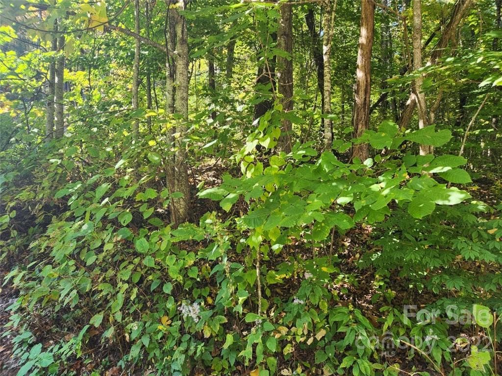 Lot at Waynesville, photo 2 of 5