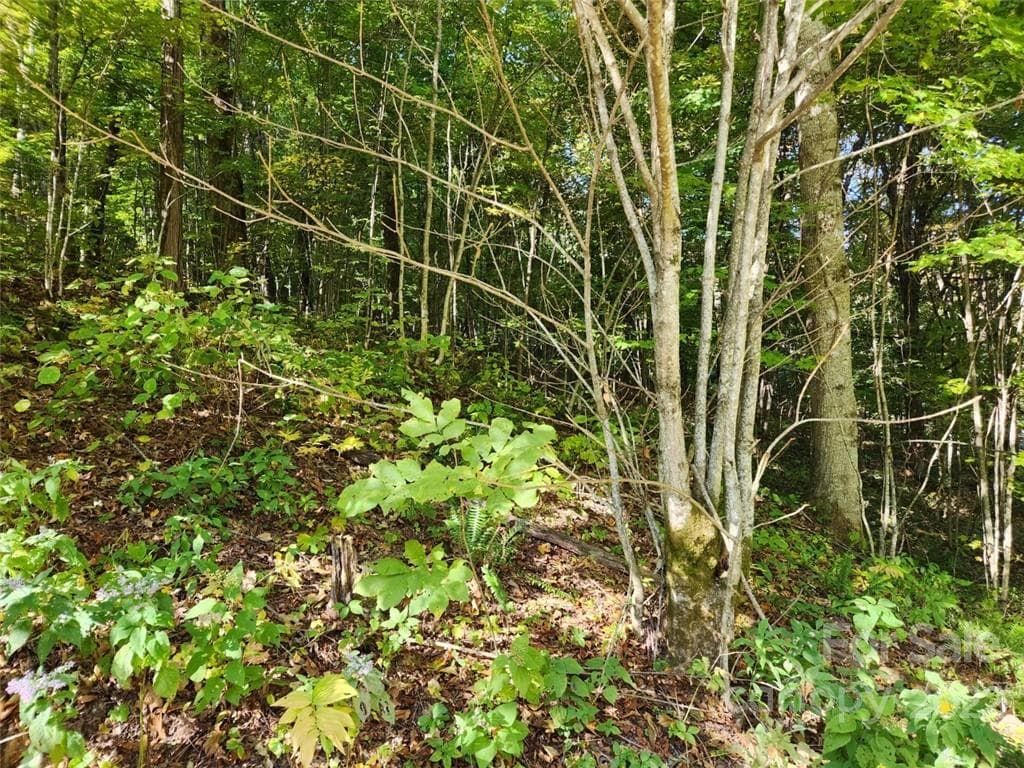 Lot at Waynesville, photo 4 of 5