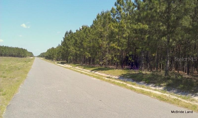 Land at 17001 SW HIGHWAY 484, DUNNELLON, photo 3 of 39