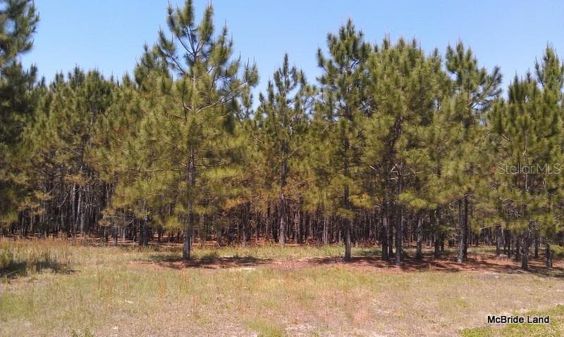 Land at 17001 SW HIGHWAY 484, DUNNELLON, photo 8 of 39
