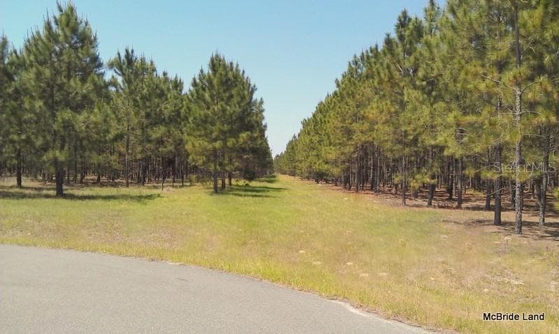 Land at 17001 SW HIGHWAY 484, DUNNELLON, photo 13 of 39